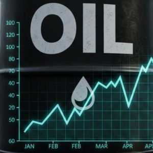 Harga Minyak Dunia Makin Naik, Kini Tembus 116 Dolar AS