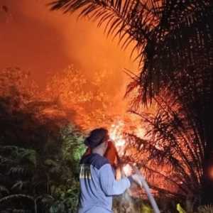 Kapolri Segera Umumkan Perusahaan Tersangka Karhutla