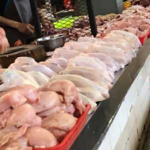 Redam Inflasi Ayam Akibat MBG, Bapanas Gelontorkan Subsidi