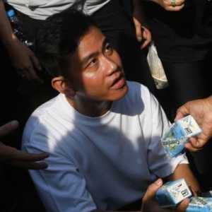 Komisi II Didorong Bentuk Pansus untuk Tindaklanjuti Putusan MK Terkait Gibran