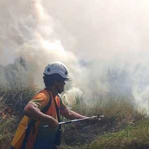 Walhi Soroti Tanggung Jawab Lintas Sektor dalam Penanganan Karhutla