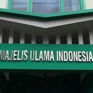 MUI Minta Umat Islam Tak Undang Habib Alwi Assegaf, Ini Profilnya