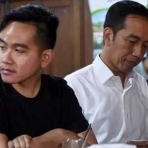 Berubah Sikap, Jokowi Dinilai Fokus Selamatkan Karier Politik Gibran