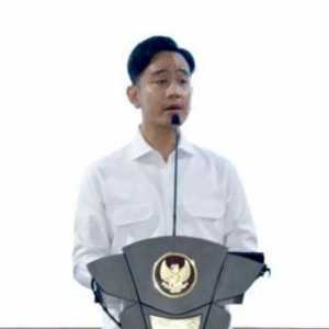 Bisa Kuliah dan Menenuhi Syarat Jadi Wapres Adalah Dua Hal Berbeda