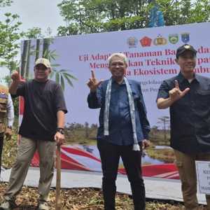 BPGMN Pulihkan Ekosistem Gambut di Kabupaten OKI