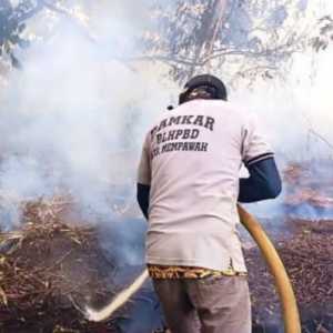 Legislator PKB Minta Pelaku Pembakaran Hutan Ditindak Tanpa Pandang Bulu