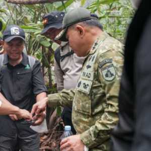 Jalur Darat dan Sumur Bor Disiapkan untuk Tangani Karhutla Tanjung Puting