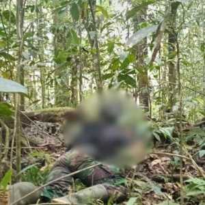 Tiga Anggota OPM Meninggal Dunia Usai Kontak Tembak di Maybrat