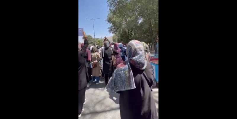 Militan Taliban tidak segan menghanjar pengunjuk rasa wanita dengan cambuk atau tongkat di Kabul/Repro