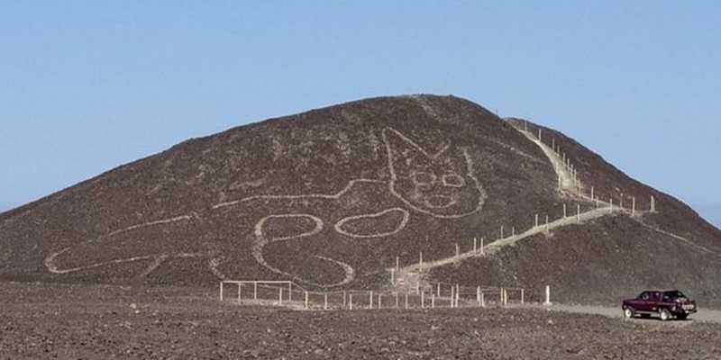 Geoglyphs Nazca kucing di Peru yang baru ditemukan pada tahun 2020/Net