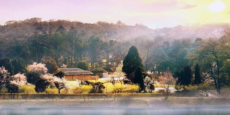 Rumah kelahiran Kim Il Sung.