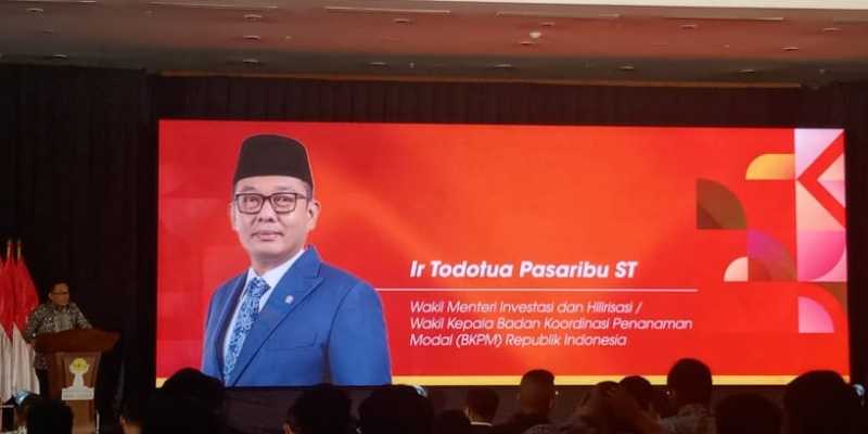 Wakil Menteri Investasi/BKPM, Todotua Pasaribu. (Foto: RMOL)