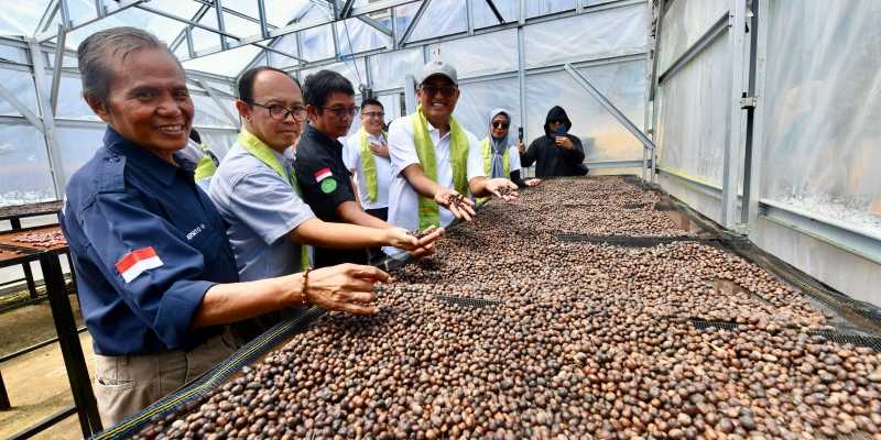 Pertamina 'Tanam' Edukasi Keberlanjutan lewat Program Desa Berdikari