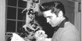 Elvis Presley saat Natal sebelum wajib militer/Net